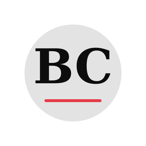Boulder Chimney Repair logo